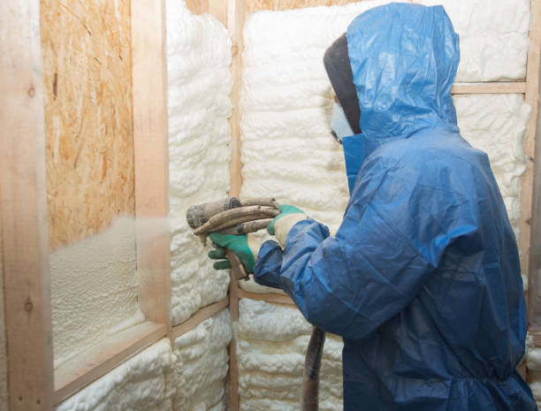 Types of Insulation We Offer in Abbeville, SC